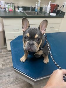 msbarbie69 exclusive onlyfans leaked nudes