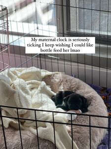 Siegex new hot onlyfans leaked nudes