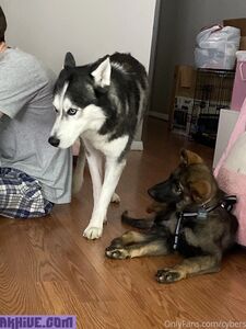 Cybersofty new hot onlyfans leaks