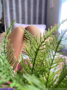 Cybersofty new hot onlyfans leaks