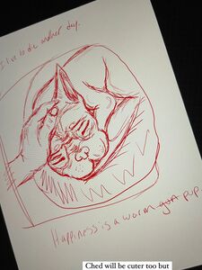 SiegeXXX new hot onlyfans leaked nude