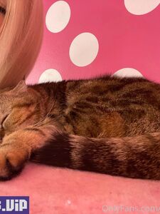 kenzie reevesxxx new hot onlyfans leaked nudes