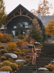 wolfofthewild onlyfans leaks nude photos and videos