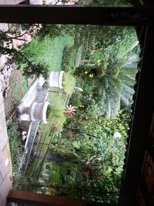 Missbella Onlyfans Latest Premium Leaks