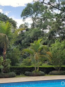 Missbella Onlyfans Latest Premium Leaks